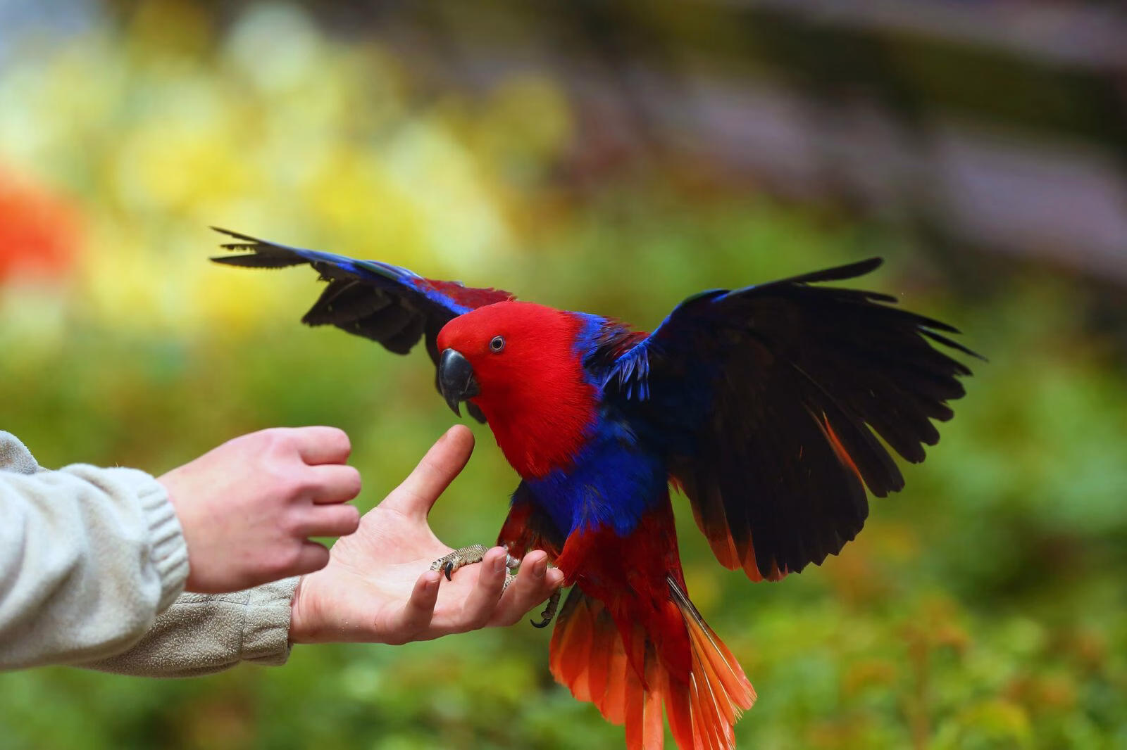 Feather Therapy
