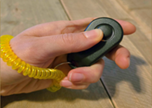 Clickertraining
